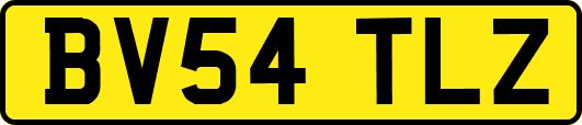 BV54TLZ