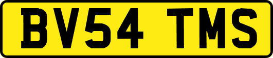 BV54TMS