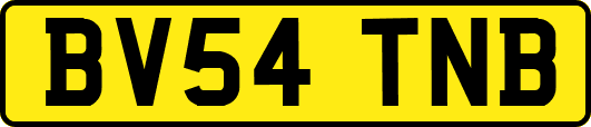 BV54TNB