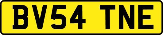 BV54TNE