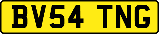 BV54TNG