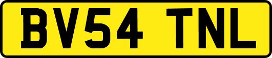 BV54TNL