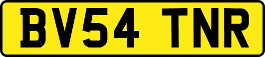 BV54TNR