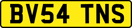 BV54TNS