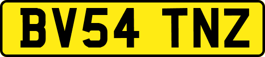 BV54TNZ