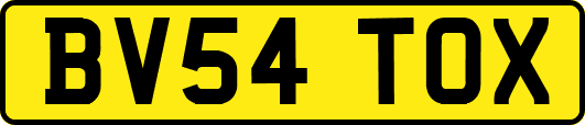 BV54TOX