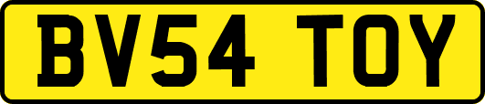 BV54TOY
