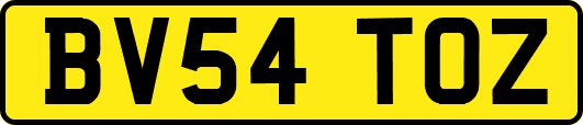BV54TOZ