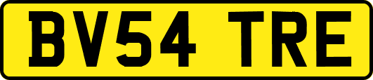 BV54TRE