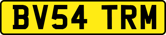 BV54TRM