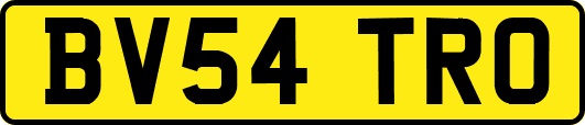 BV54TRO