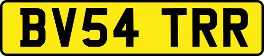 BV54TRR