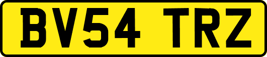 BV54TRZ