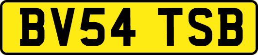 BV54TSB
