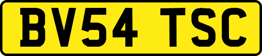 BV54TSC