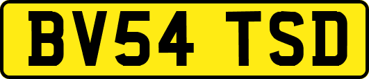 BV54TSD