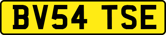 BV54TSE