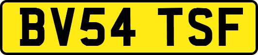 BV54TSF