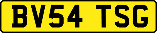 BV54TSG