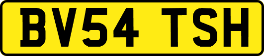 BV54TSH