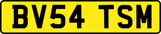 BV54TSM