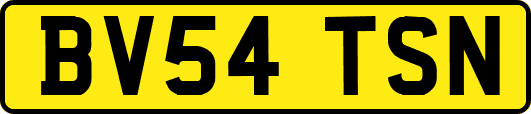 BV54TSN
