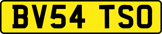BV54TSO