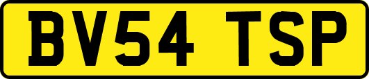 BV54TSP