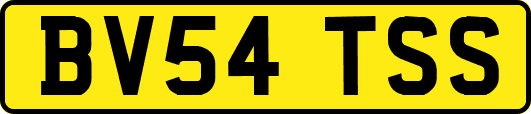 BV54TSS