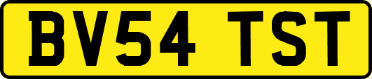 BV54TST