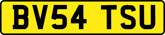 BV54TSU