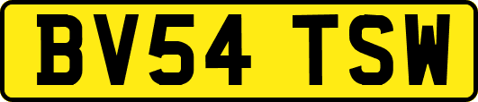 BV54TSW
