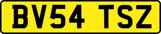 BV54TSZ
