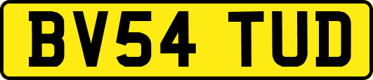 BV54TUD