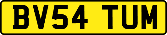 BV54TUM