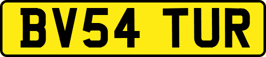 BV54TUR