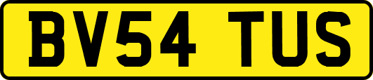 BV54TUS