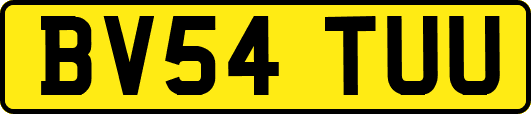 BV54TUU