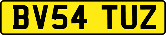 BV54TUZ