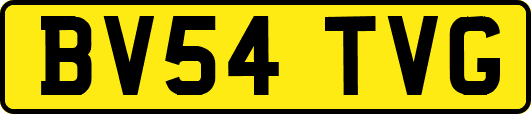 BV54TVG