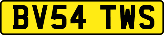 BV54TWS