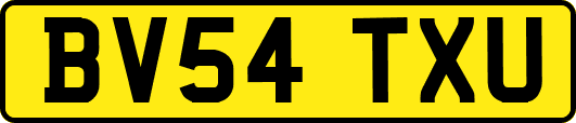 BV54TXU