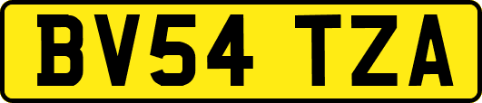BV54TZA