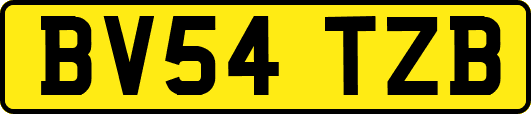 BV54TZB
