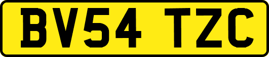BV54TZC