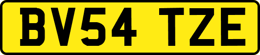 BV54TZE