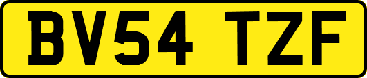 BV54TZF