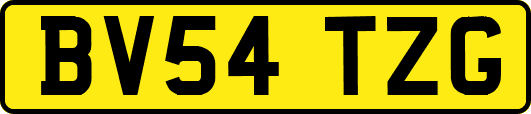 BV54TZG