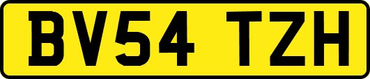 BV54TZH