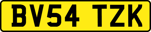 BV54TZK